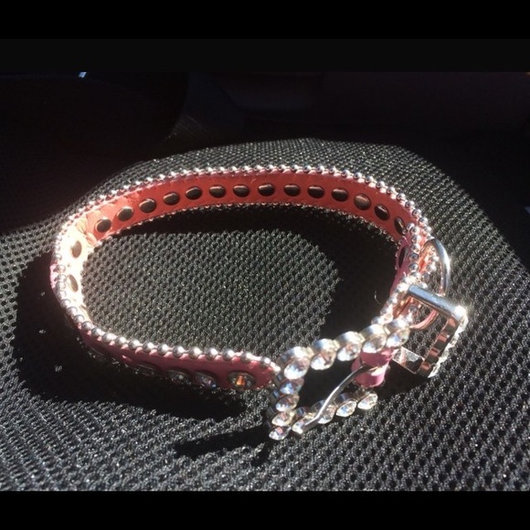 NWOT Designer Pink Blinged-Out Dog Collar - Picture 2 of 3